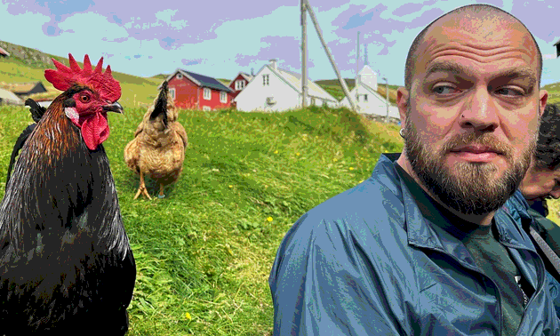 Alexandru Badiu beside a rooster in a Faroese village, red and white houses on the hill behind